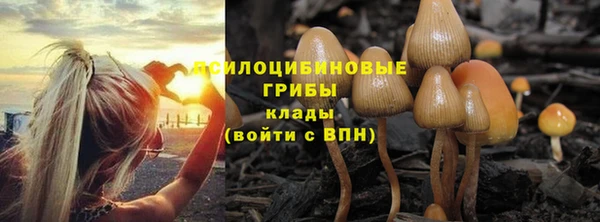 каннабис Белокуриха