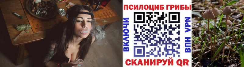 Псилоцибиновые грибы мицелий  Вуктыл 